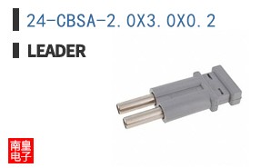 24-CBSA-2.0X3.0X0.2 ͼƬ